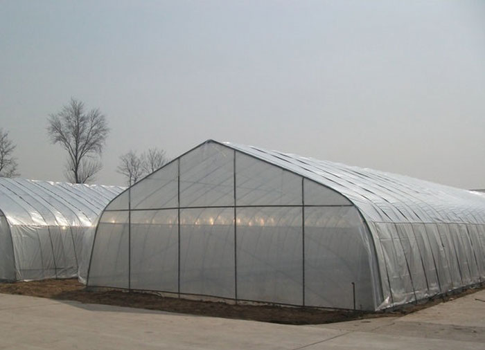 Single span Greenhouse