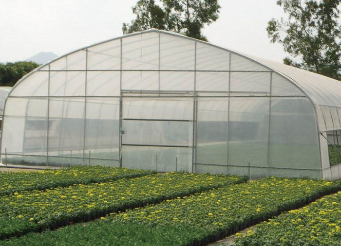 Single span Greenhouse