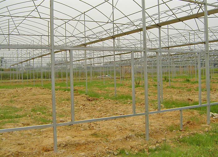 Tunnel Greenhouse Structure