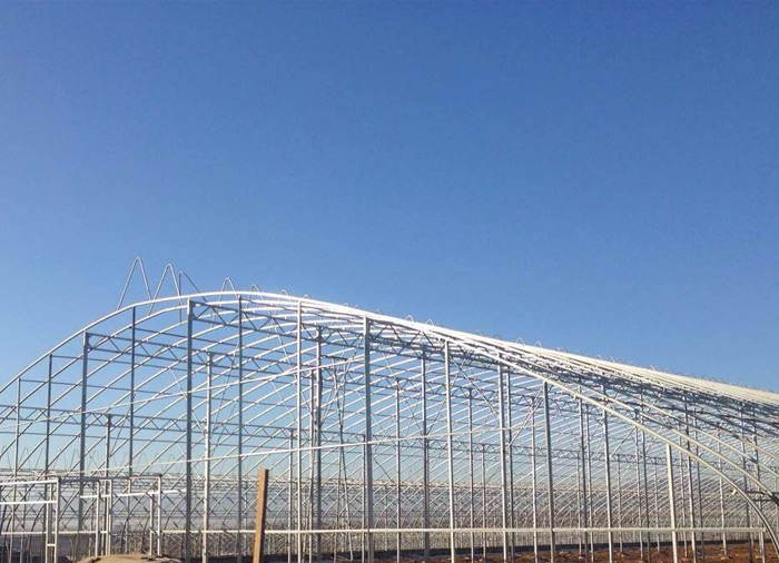 Single Tunnel Greenhouse Structure