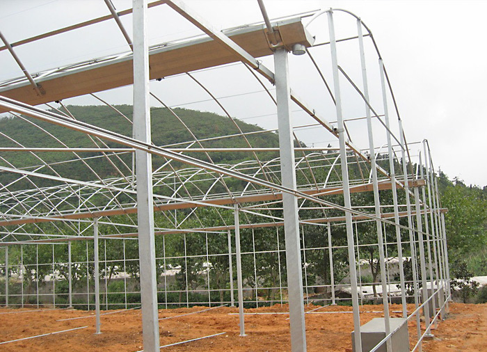 Multi span Greenhouse Structure