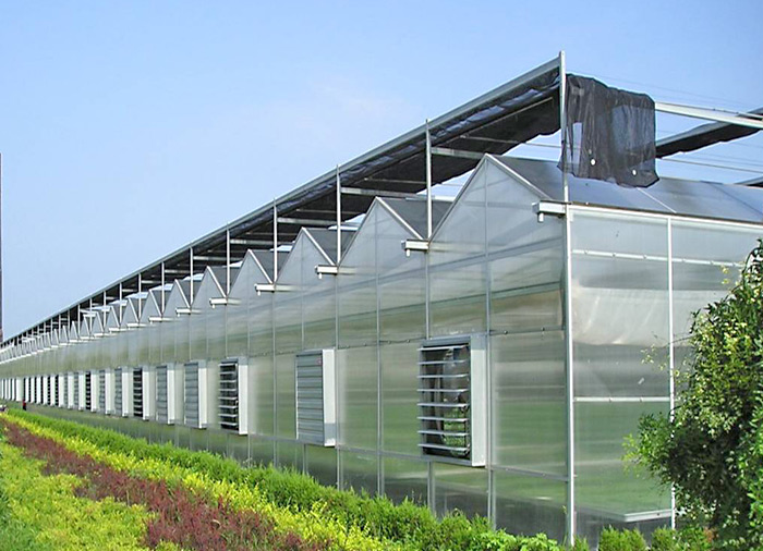 Multi-span PC Greenhouse
