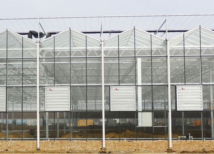 Glass Intelligent Greenhouse