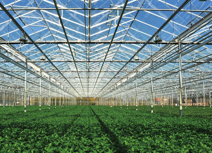 Glass Greenhouse Inside