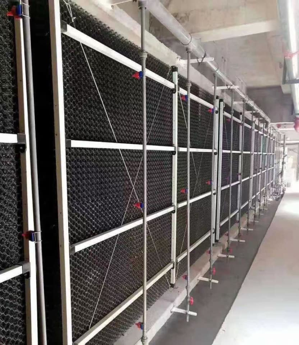 1717752534722482.jpg