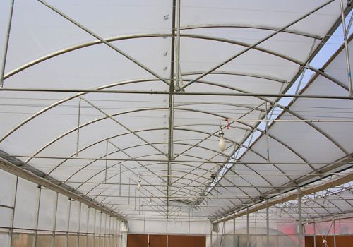 Tunnel Film Greenhouse