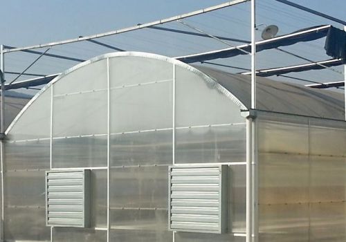 Tunnel Film Greenhouse