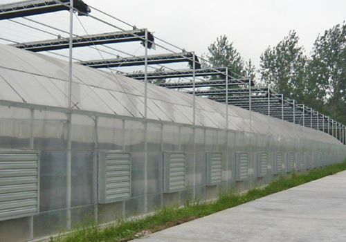 Plastic Film Greenhouse