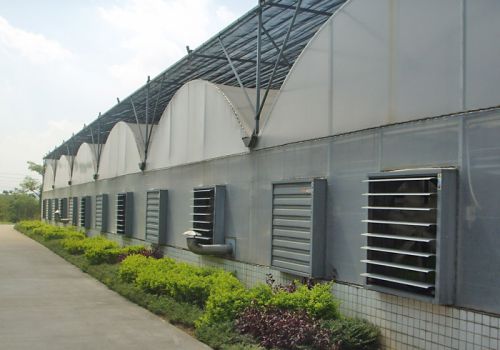 Intelligent Tunnel Greenhouse