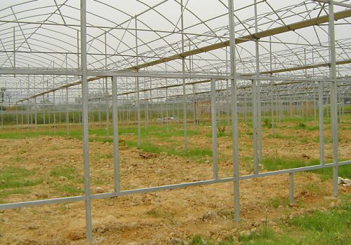 Tunnel Greenhouse Structure