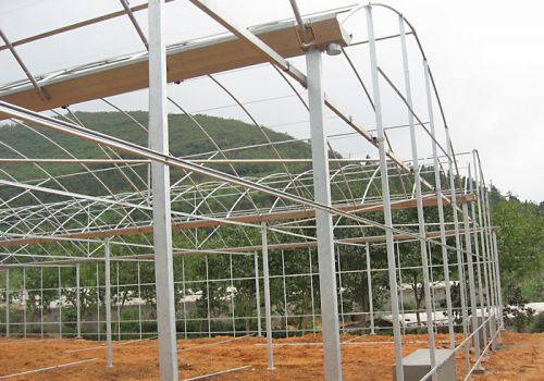 Multi span Greenhouse Structure