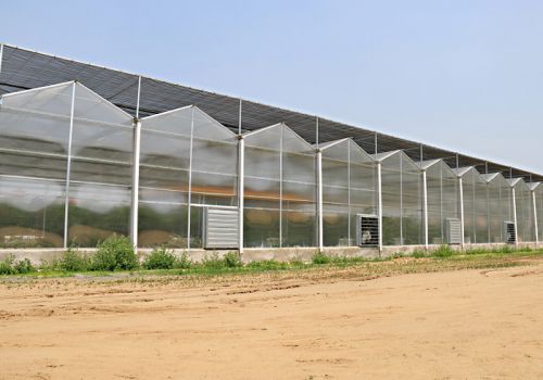 Polycarbonate Greenhouse