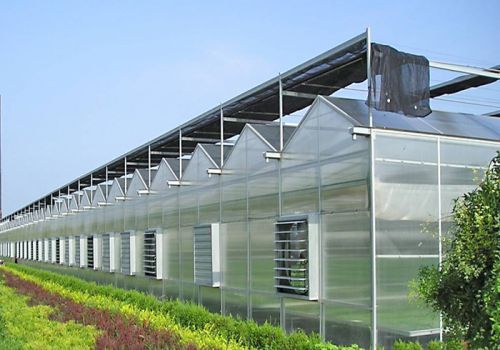 Multi-span PC Greenhouse