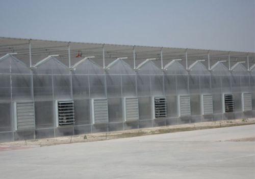 Polycarbonate Greenhouse