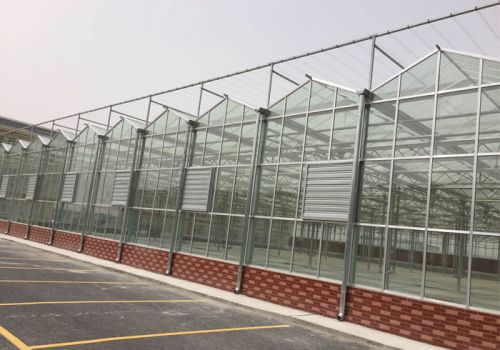New Type Glass Greenhouse