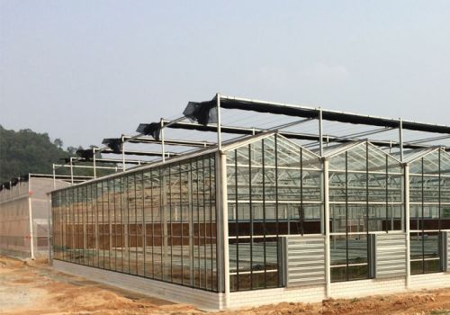 Glass Greenhouse Inside