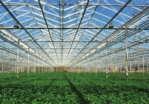 Glass Greenhouse Inside