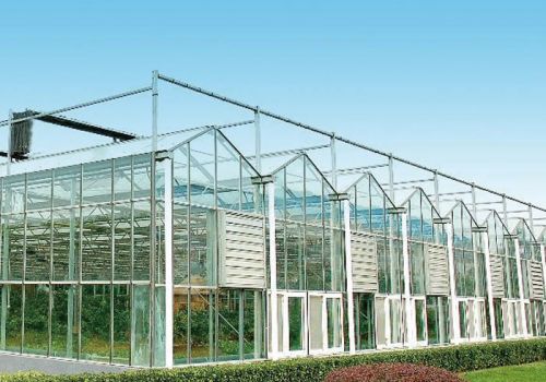 Glass Greenhouse