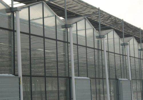 Glass Greenhouse