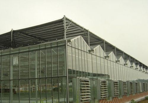 Glass Greenhouse