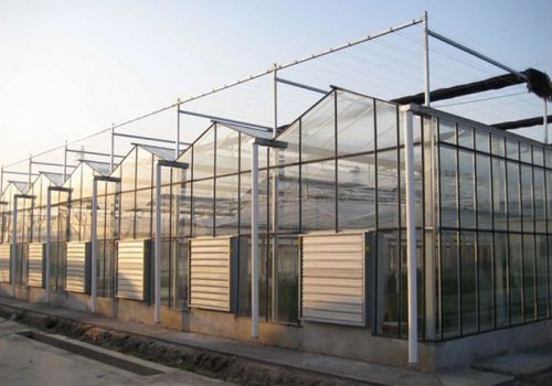 Glass Greenhouse