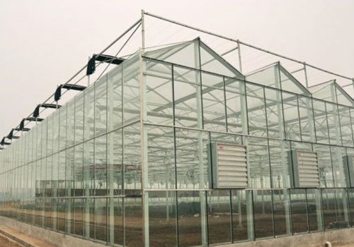 Glass Greenhouse