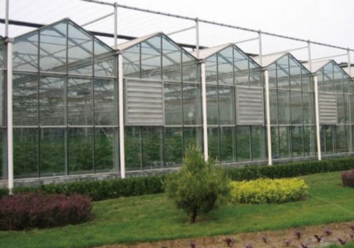 Glass Greenhouse