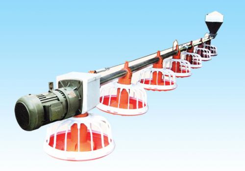 Poultry Automatic Feed Line