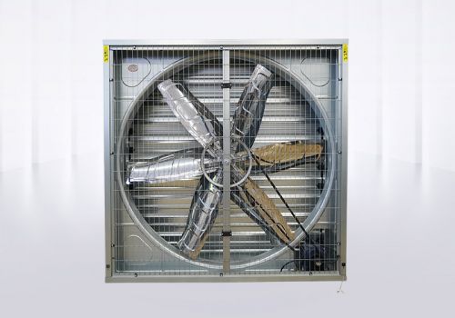 hammer fan
